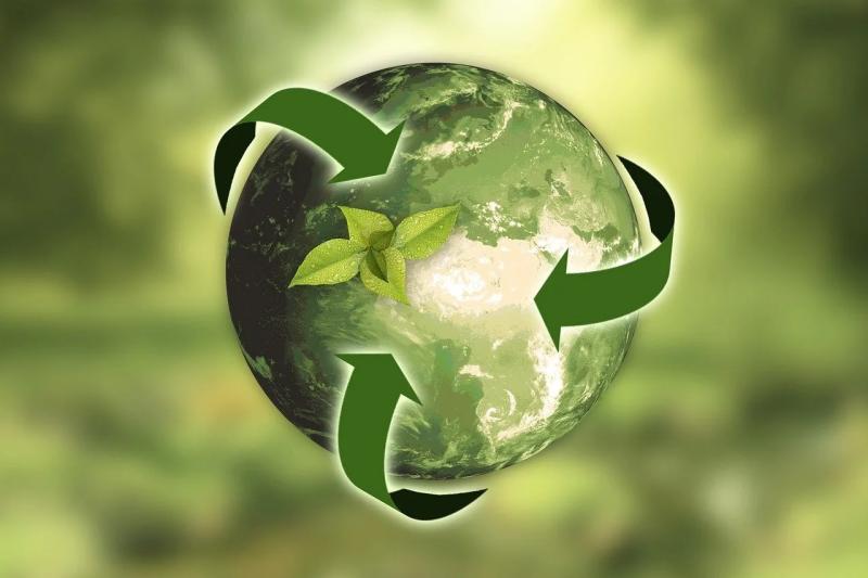 Eco-Friendly Waste Disposal Practices